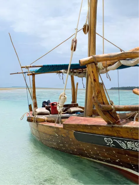 Ocean’s Bounty