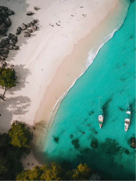 Tropical Oasis