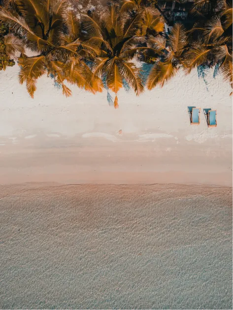 Island Rhythms